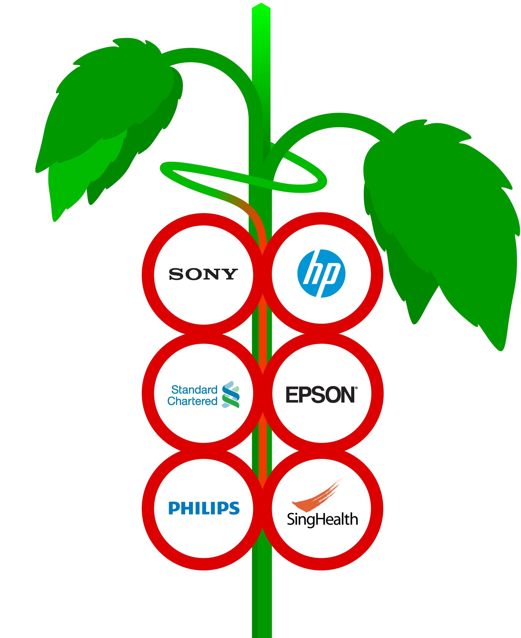 Tomato Design Consultant, Singapore, graphic design, design agency, branding, brand building, design firm, design house, communications, media, creative services, creatives, art direction, photography